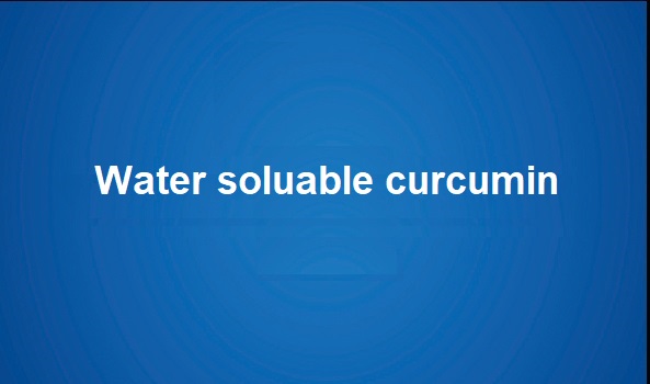 Wasserlöslicher Curcumin.
